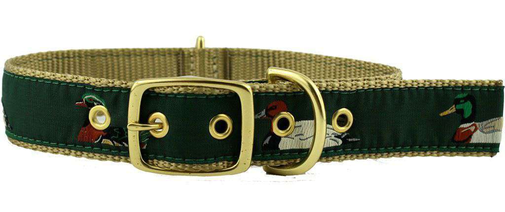 Preppy Needlepoint Dog Collars