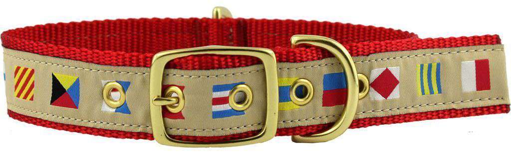 Bows Needlepoint Dog shops Collar Canvas