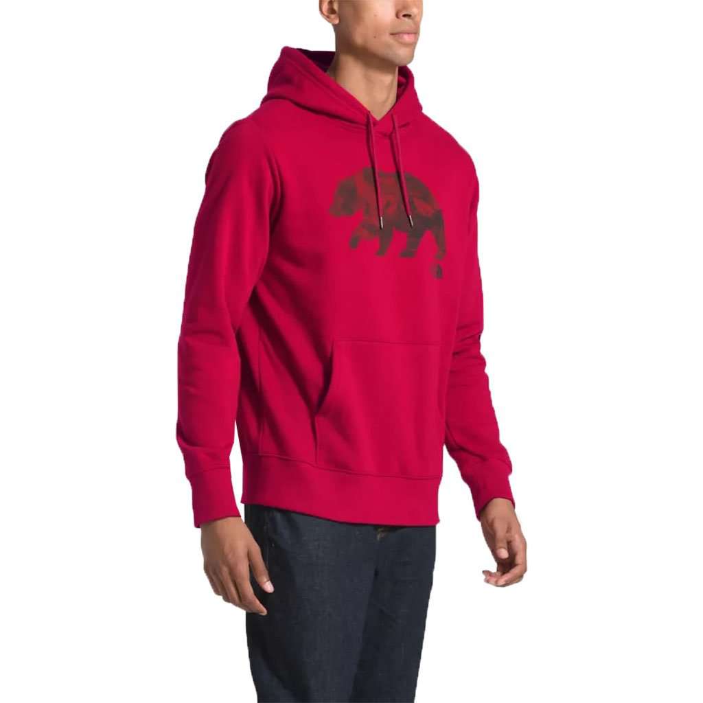 The north face men's best sale bearinda pullover hoodie stores